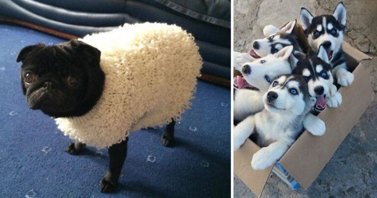 50 αξιοπαράξενες φωτογραφίες για να υποδεχτούμε το εορταστικό σαββατοκύριακο.