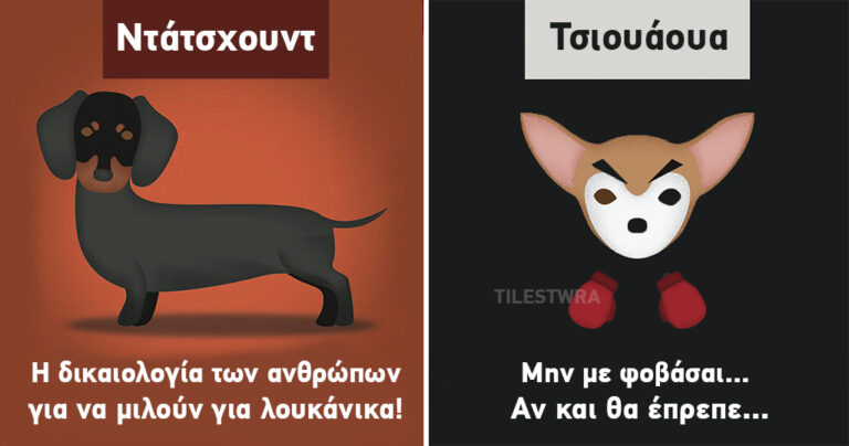 10 ειλικρινή σλόγκαν που σατιρίζουν τα στερεότυπα που έχουμε για τα σκυλιά