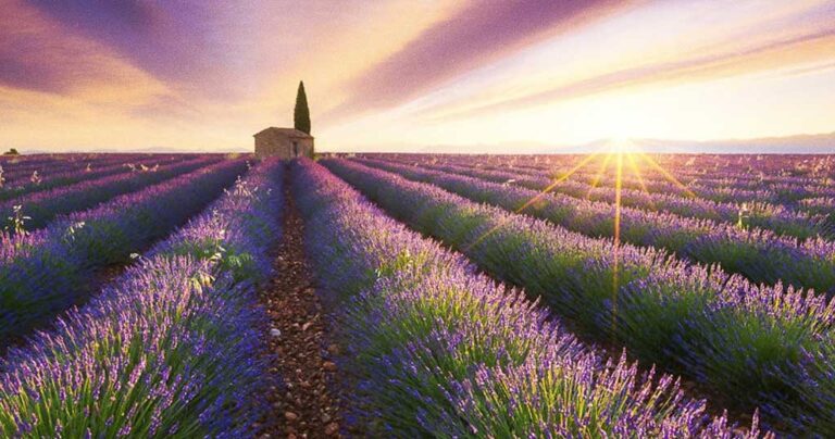 Φωτογράφος ταξίδευε επί 3 χρόνια σε όλο τον κόσμο για να βγάλει αυτές τις φωτογραφίες με τον ήλιο!