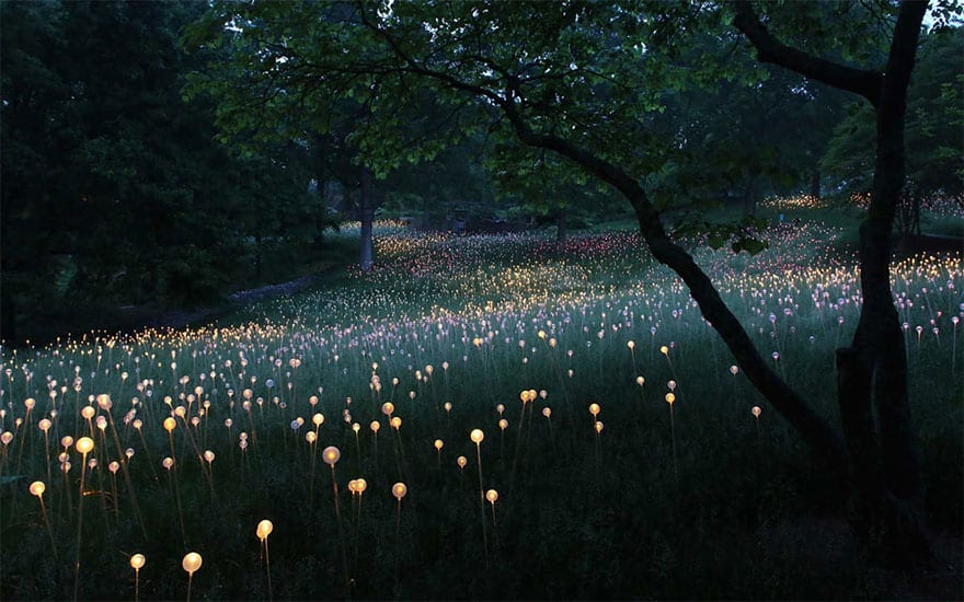 surreal-light-installations-field-of-light-bruce-munro-uluru-australia-16