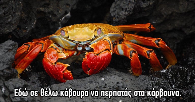 60 από τις καλύτερες ελληνικές παροιμίες και τι σημαίνουν.