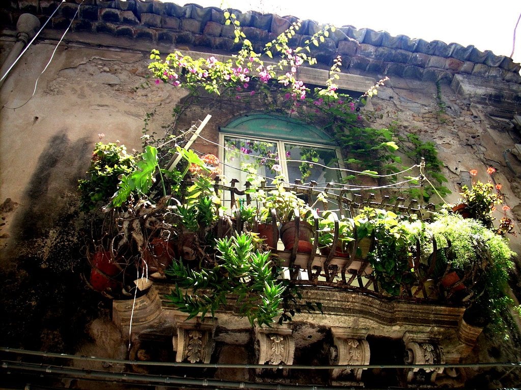 beautiful-balcony-flowers