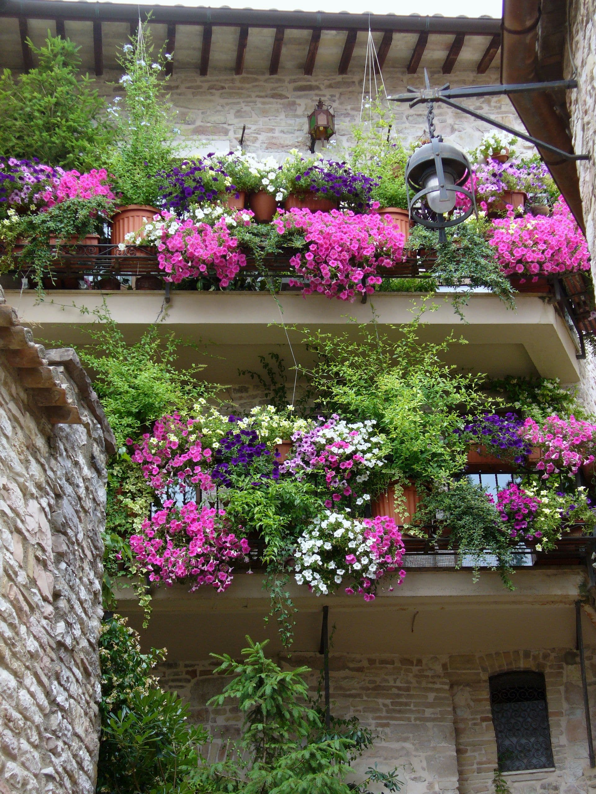 floral-balcony-1
