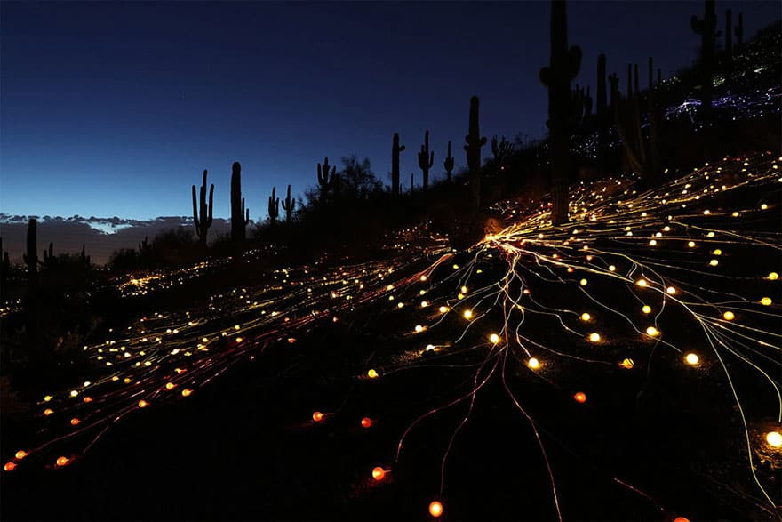 surreal-light-installations-field-of-light-bruce-munro-uluru-australia-5