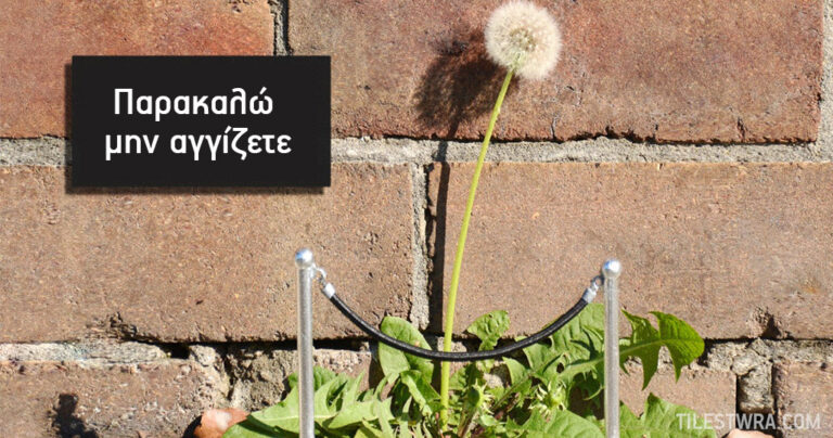 20 εκπληκτικές εικόνες από έργα τέχνης του δρόμου που ζωντανεύουν την πόλη