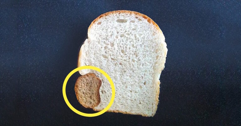 20 εικόνες πραγμάτων που δεν περιμένατε ποτέ να δείτε