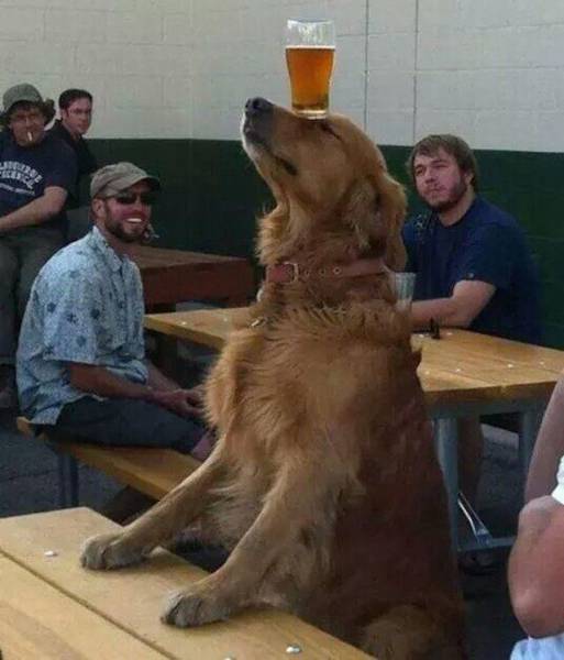 daily_picdump_2095_640_87
