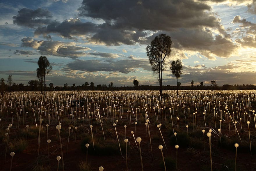 surreal-light-installations-field-of-light-bruce-munro-uluru-australia-3