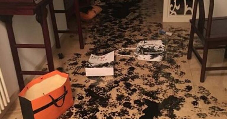 Μια οικογένεια πήγε σινεμά για 3 ώρες και όταν γύρισε βρήκε αυτό…