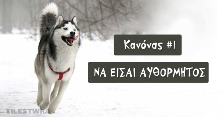15 χρυσοί κανόνες για την ζωή εμπνευσμένοι από τα χάσκι