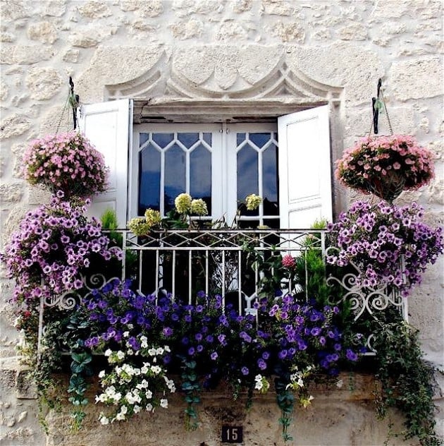 balcony-flowers