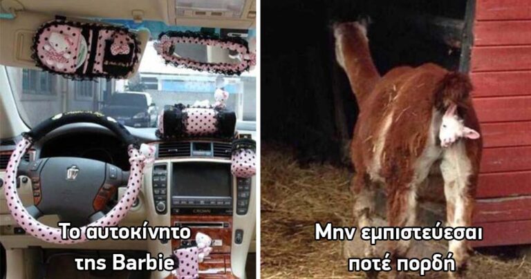 15 αστείες φωτογραφίες που θα σας φτιάξουν το βράδυ!