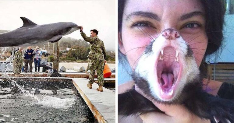 14 εικόνες τραβηγμένες την κατάλληλη στιγμή!