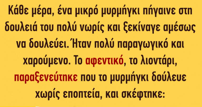 Κάθε μέρα ένα μικρό μυρμήγκι πήγαινε στη δουλειά