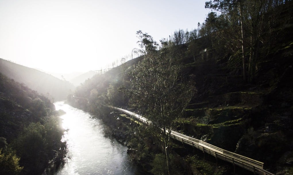 Paiva-Walkways-photos-by-Nelson-Garrido-15-1020x610
