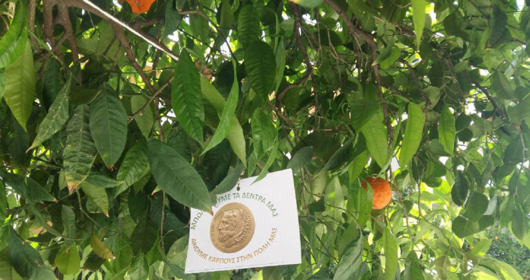 Ένας Δήμος της Αθήνας μπόλιασε τις νεραντζιές του για να δίνουν λεμόνια.