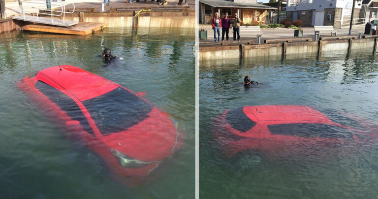 Γυναίκα οδηγός ακολούθησε πιστά το GPS και έπεσε μέσα σε λίμνη.