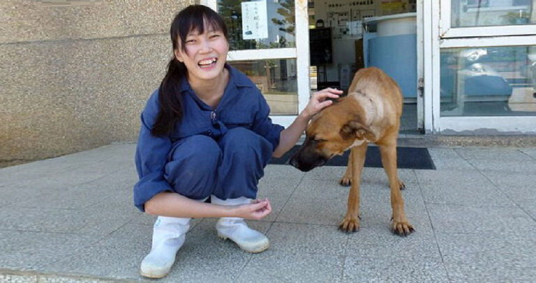 Κτηνίατρος αυτοκτόνησε με ευθανασία στον εαυτό της γιατί αναγκαζόταν να κάνει ευθανασίες σε σκύλους.