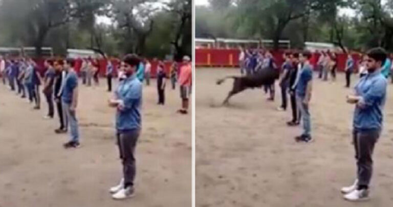 Ισπανός καθηγητής αποδεικνύει σε μαθητές ότι οι ταύροι δεν επιτίθενται αν δεν τους επιτεθείς πρώτος.