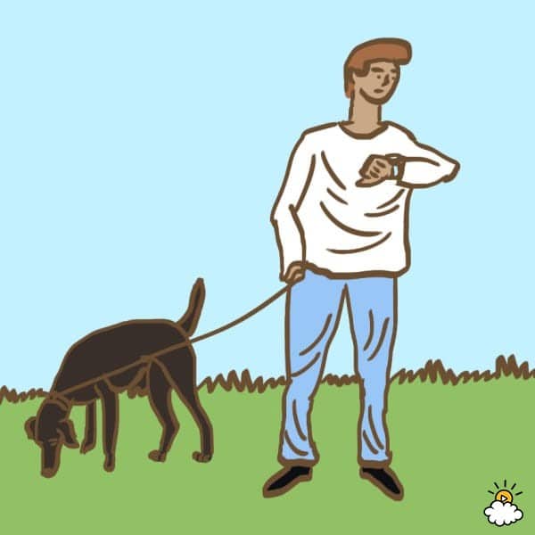 embeddedIMG_dogpoophabits_850px_5-600x600
