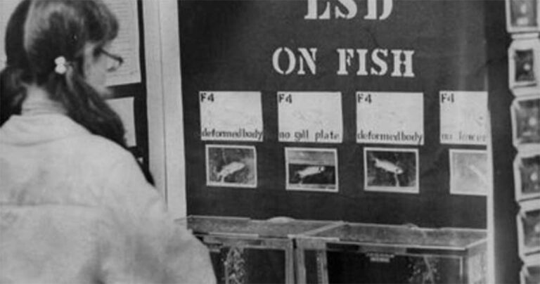 30 σπάνιες ιστορικές φωτογραφίες.