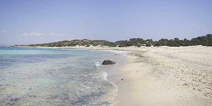 Η παραλία του νησιού Χρυσή (Γαϊδουρονήσι) στην Κρήτη με την κατάλευκη άμμο από… κοχύλια.