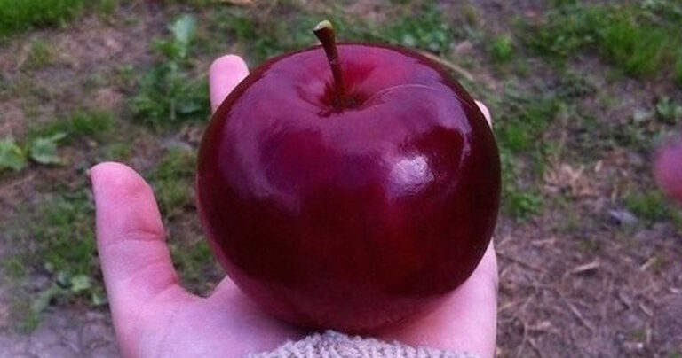 29 φωτογραφίες φαγητών που θα ικανοποιήσουν όλες σας τις αισθήσεις.