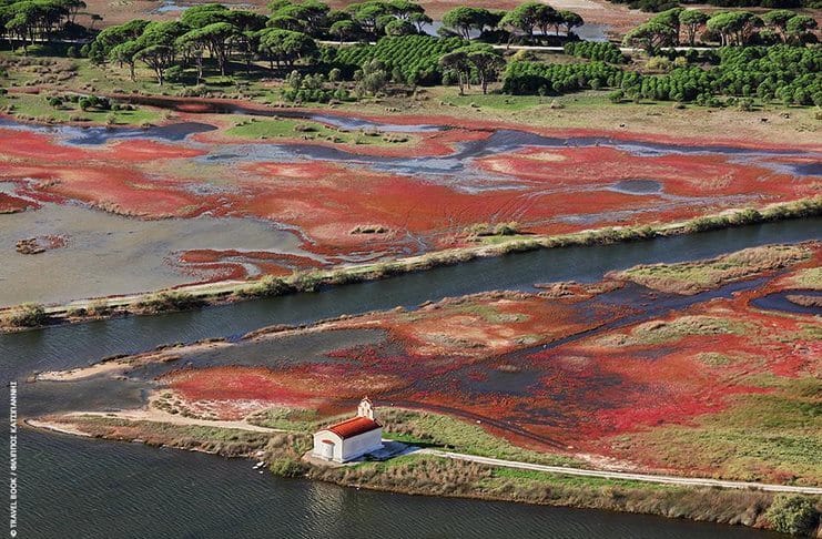 Αχαΐα: Βελανιδιές και σαλικόρνιες, πράσινο, γαλάζιο και κόκκινο εναλλάσσονται στη λιμνοθάλασσα Πρόκοπου 