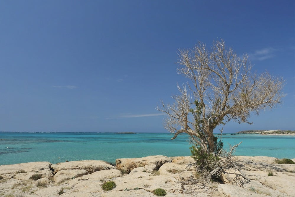 Elafonissi-Beach-Chania-Crete-26-allincrete.com_