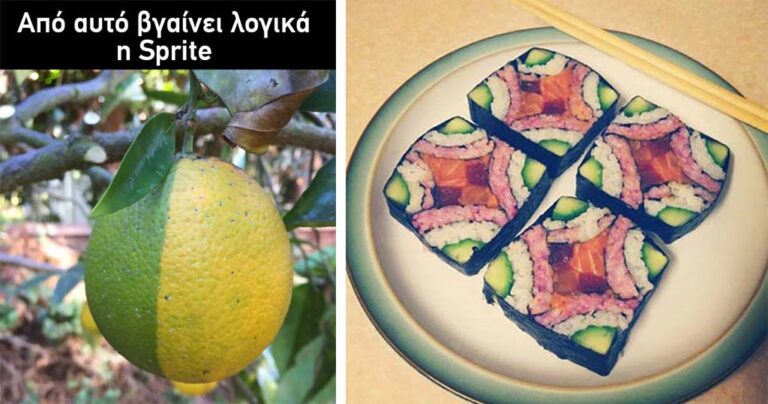 14 πράγματα που δεν βλέπεις κάθε μέρα!