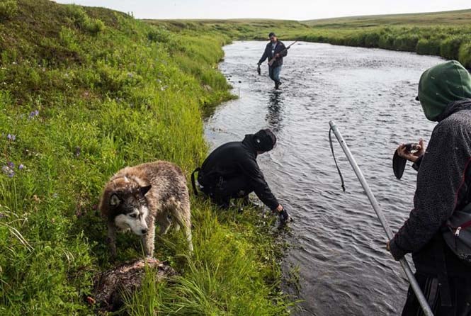 kathimerinotita-stin-alaska-08