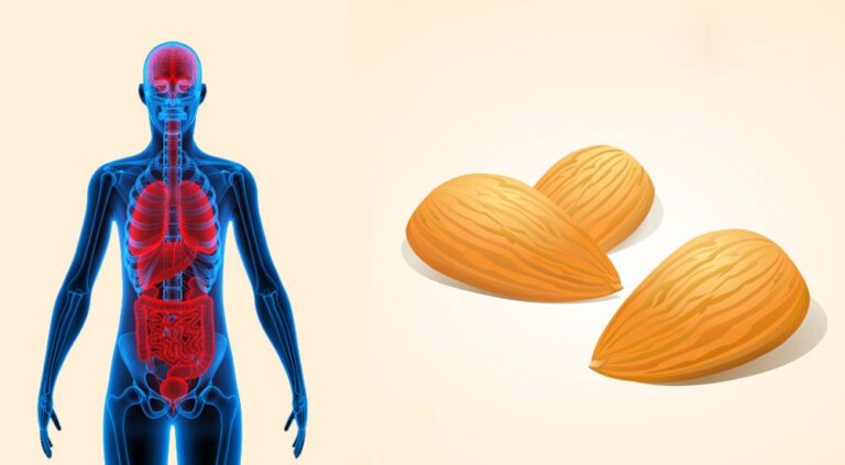 Αυτό θα συμβεί στο σώμα σας εάν τρώτε 12 αμύγδαλα κάθε μέρα.