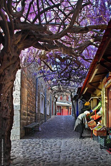 Μυτιλήνη: Το «ομορφότερο δρομάκι του κόσμου» για το 2015 είναι αυτό και βρίσκεται στον Μόλυβο 