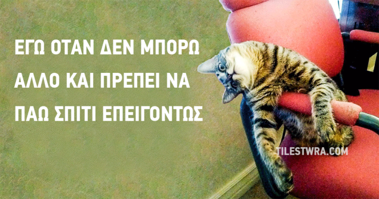 20 εικόνες από ζώα με τις οποίες θα ταυτιστείτε απόλυτα