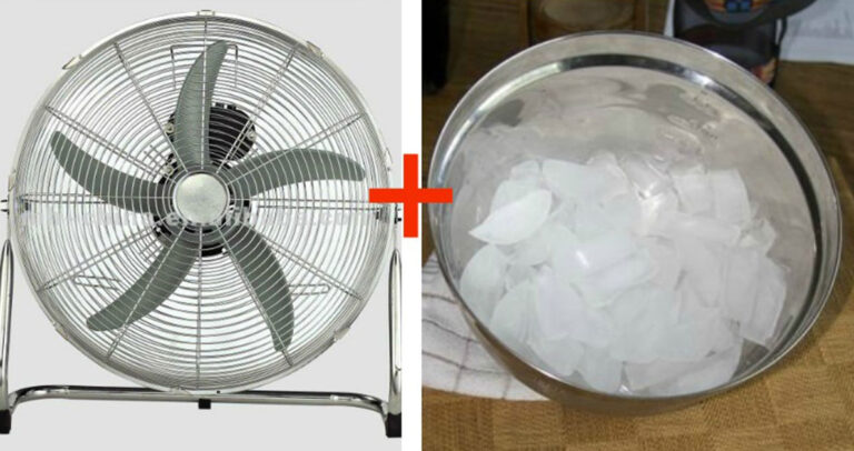 Τέλειο κόλπο για να «αναβαθμίσετε» τον ανεμιστήρα σας και να κλείσετε το κλιματιστικό.