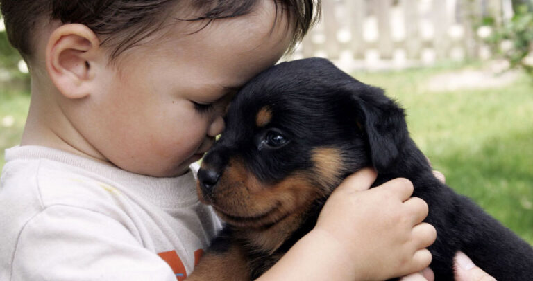 26 φωτογραφίες μωρών αγκαλιά μαζί με τα σκυλάκια τους