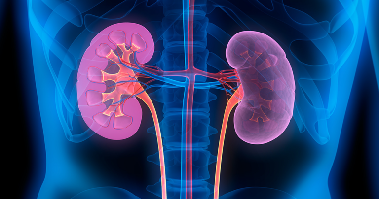 Αν έχετε κάποιο από αυτά τα συμπτώματα μπορεί να πάσχετε από νεφρική νόσο
