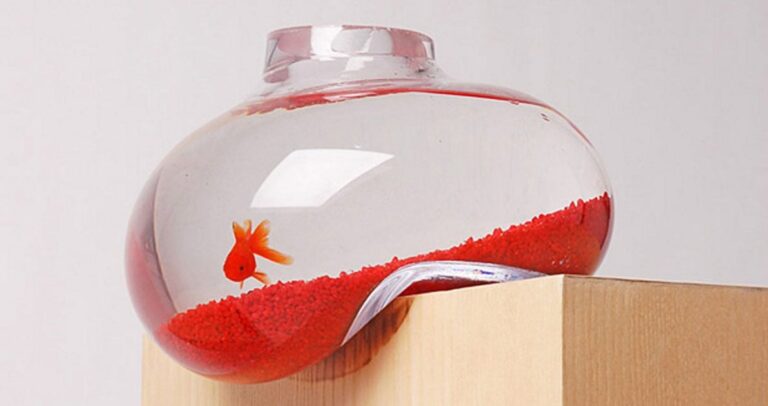 22 από τα πιο παράξενα ενυδρεία που έχουν κατασκευαστεί ποτέ.