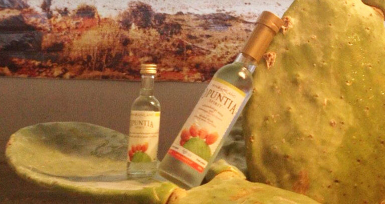Opuntia Spirit: Κυκλοφόρησε η κρητική τεκίλα που παρασκευάζεται από την απόσταξη φραγκόσυκων.