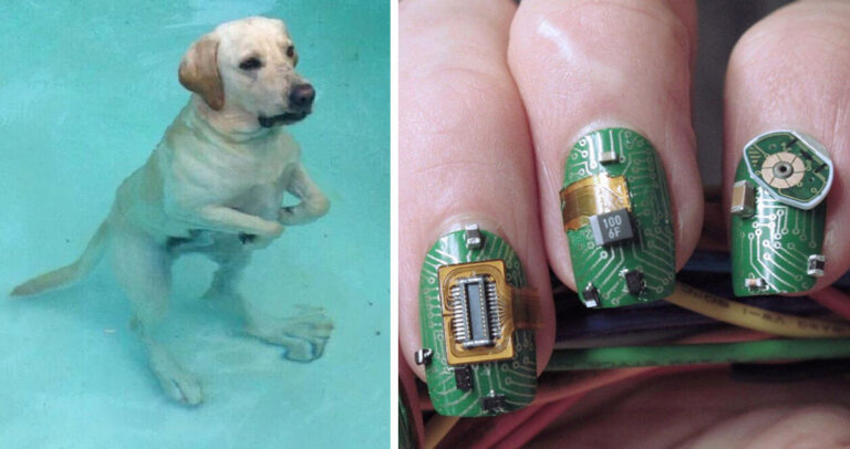 50 αξιοπερίεργες φωτογραφίες για να συνεχίσουμε με ηρεμία την εβδομάδα.