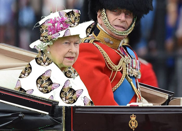 queen-elizabeth-green-screen-outfit-funny-photoshop-battle-2-575e9adb00910__700