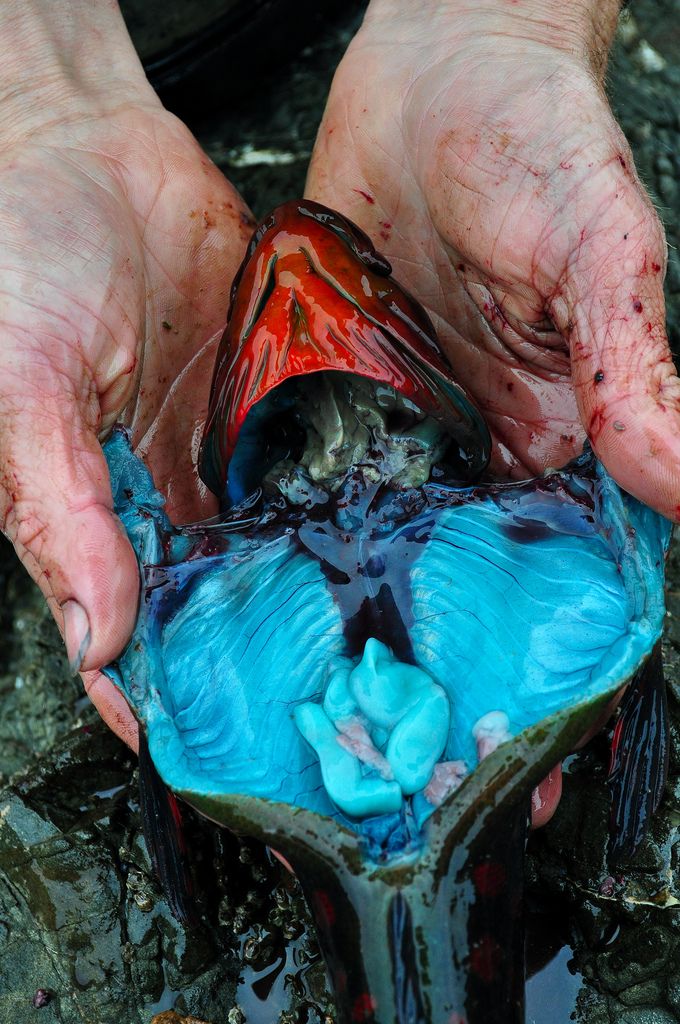 pragmata-pou-pithanotata-vlepete-gia-prwti-fora-10