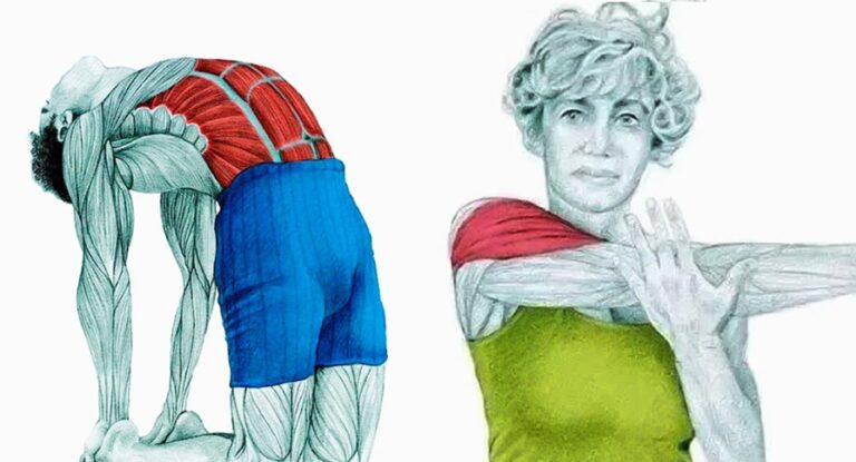 21 εικόνες που εξηγούν ποιοι μύες ενεργοποιούνται όταν τεντώνεστε