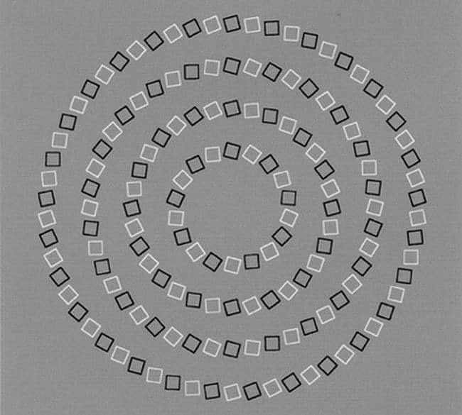 10052060-R3L8T8D-650-431e87df855e89b131ffc75ea098a997_650x