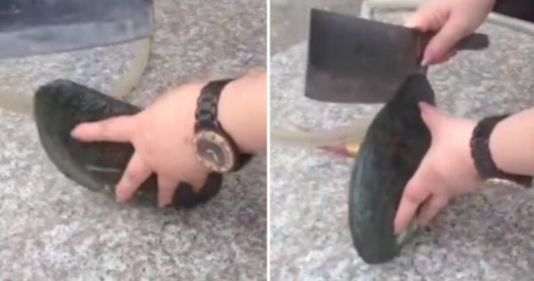 Άνοιξε ένα στρείδι ελπίζοντας να βρει ένα μαργαριτάρι αλλά μετά είδε αυτό..