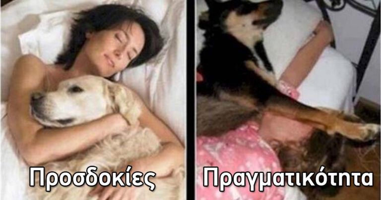 12 φορές που η πραγματικότητα δεν άγγιξε ούτε λίγο τις προσδοκίες!