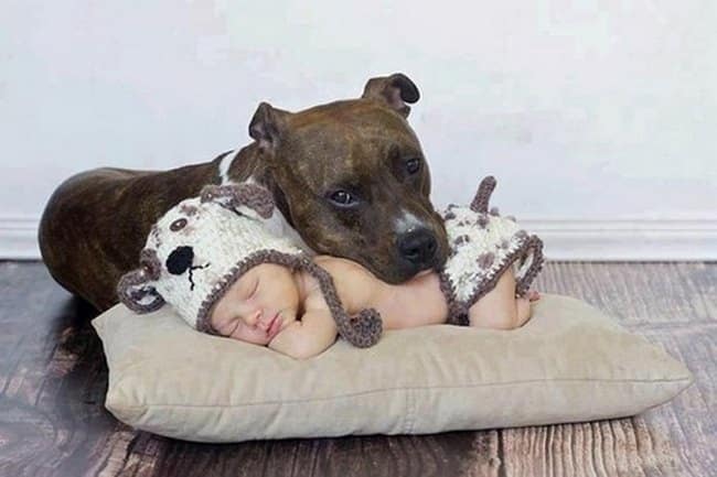 Μωρά αγκαλιά με τα σκυλάκια τους! Αυτές τις φωτογραφίες πρέπει να τις δείτε!