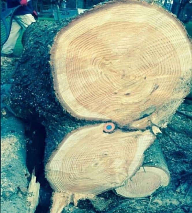 pragmata-pou-pithanotata-vlepete-gia-prwti-fora-14