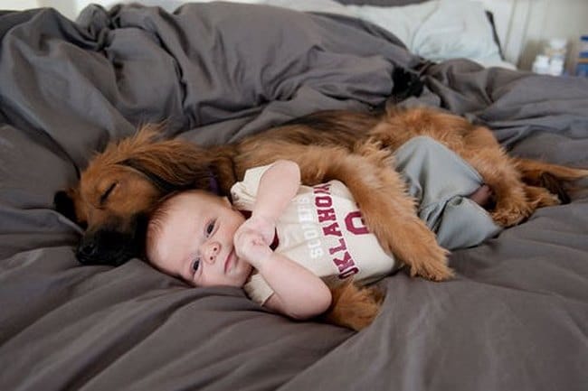 Μωρά αγκαλιά με τα σκυλάκια τους! Αυτές τις φωτογραφίες πρέπει να τις δείτε!