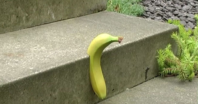 10 εκπληκτικές οφθαλμαπάτες από τον σπεσιαλίστα του είδους